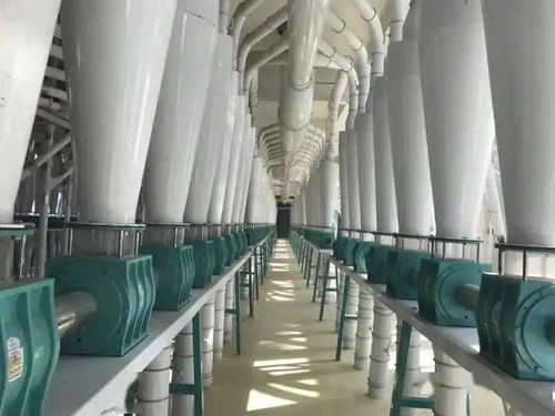 河套面粉蒙廚、蒙雪花、巴蒙久星系列全國招商暨軟件開發合作伙伴招募