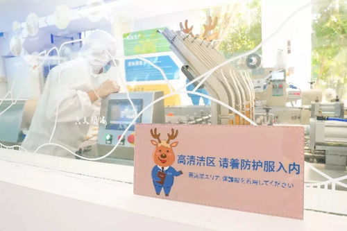 鹿先生的巧克力工廠 三亞必帶的城市禮物，呦呦鹿科技的心意之選